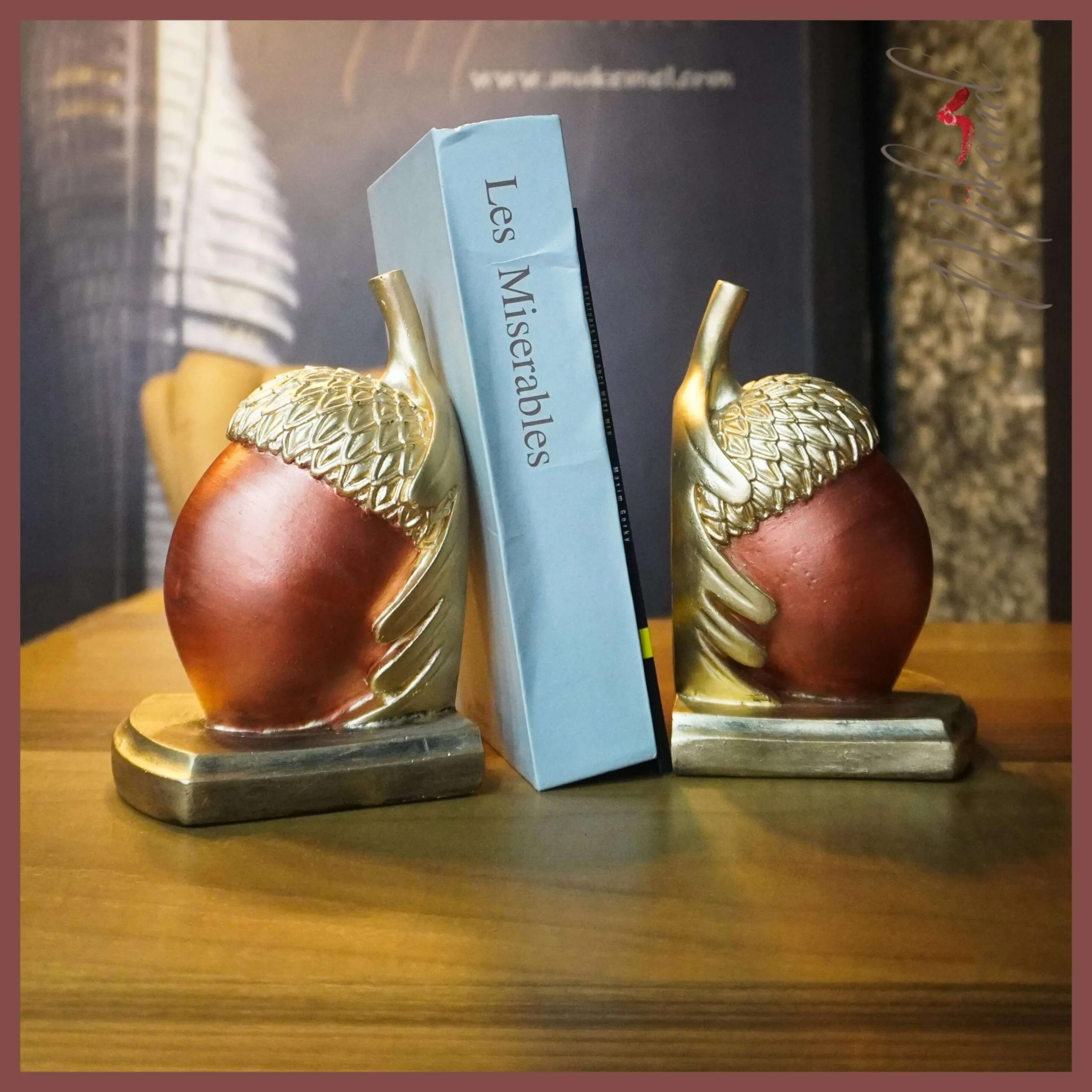 acorn-shell