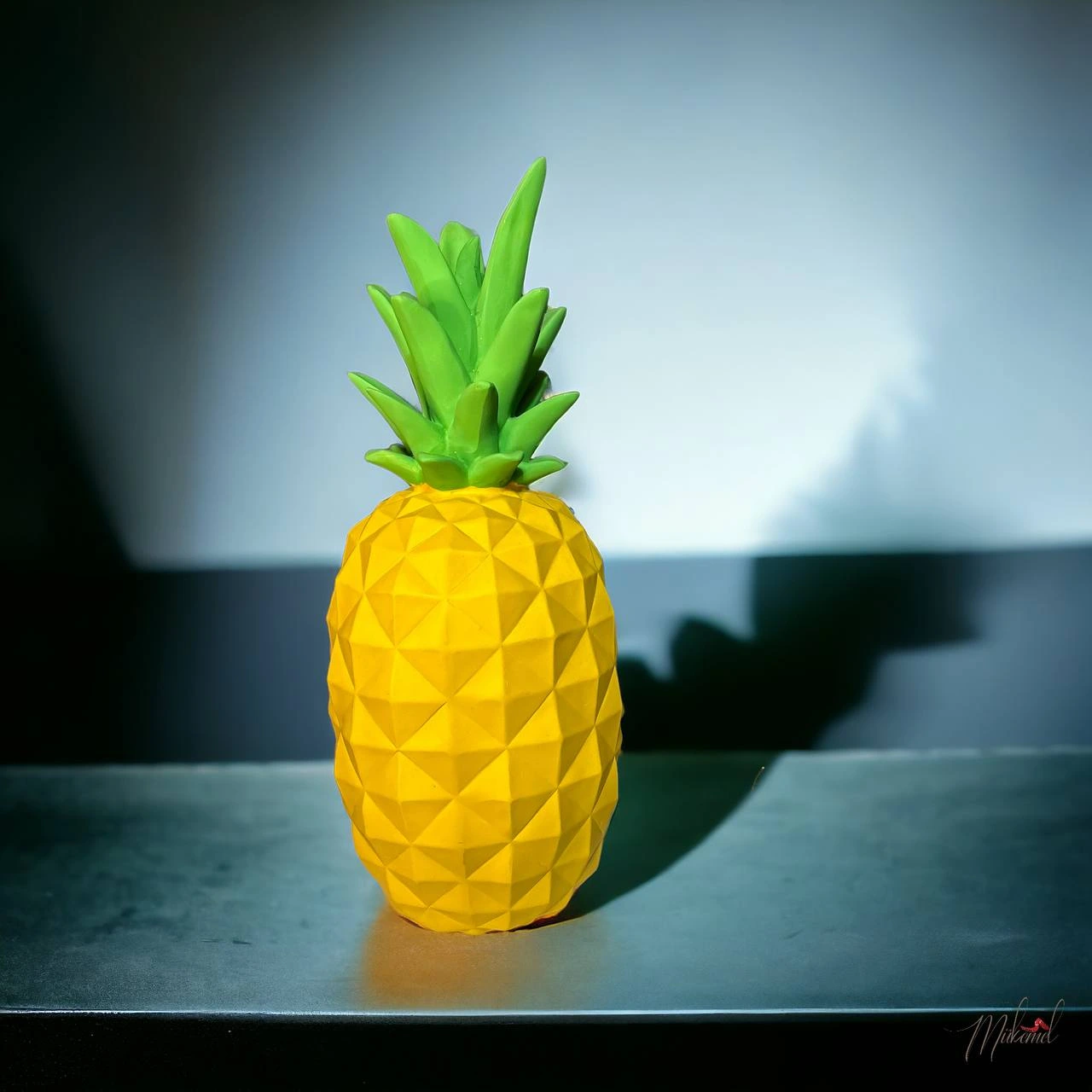 pinna