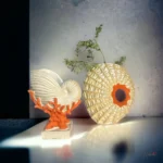 shells-by-the-sea