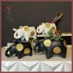 petit-elephant