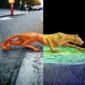 lightning-panther